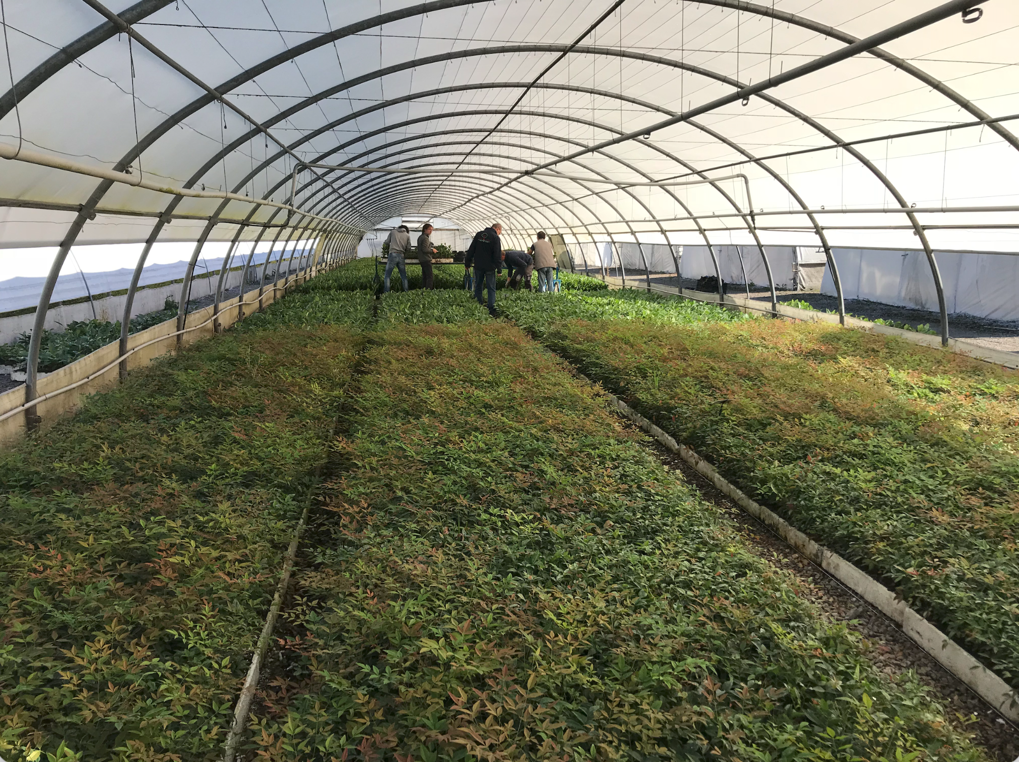 Visiting the growing areas